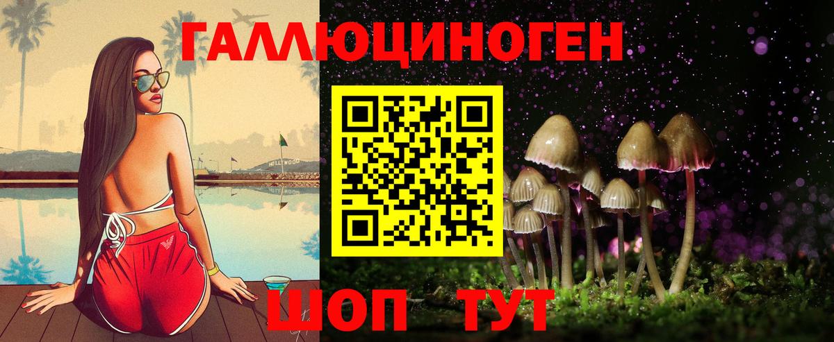 Галлюциногенные грибы Psilocybe Новосибирск